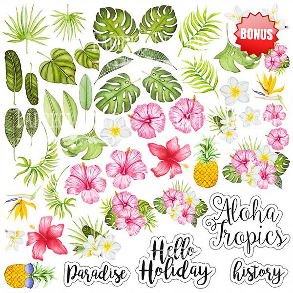 Doppelseitig Scrapbooking Papiere Satz Tropical Paradise, 30.5 cm x 30.5cm, 10 Blätter - foto 1  - Fabrika Decoru