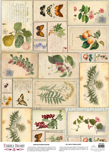 Arkusz kalki z nadrukiem, Deco Vellum, format A3 (11,7" х 16,5"), "Botany summer Pocztówki vintage" - Fabrika Decoru