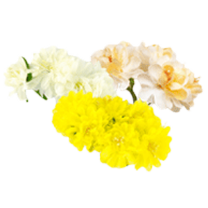 цветы яблони