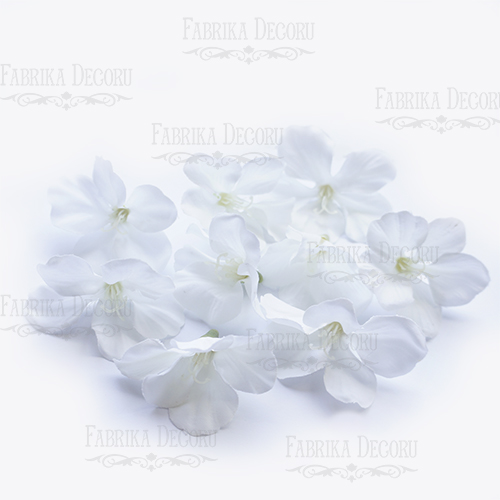 Kwiaty hortensji. Biały. 1szt  - Fabrika Decoru