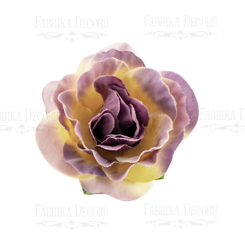 Rose flowers, color Purple with yellow, 1pcs - foto 0