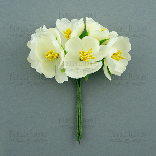 Kwiaty jaśminu, kolor Krem, 6 szt - Fabrika Decoru