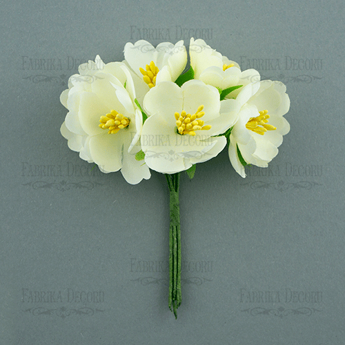 Jasminblüten Creme 6 Stk - Fabrika Decoru