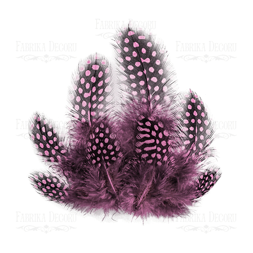 Feathers set Guinea fowl "Pale pink"