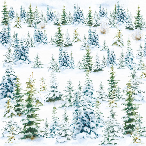 Набор двусторонней скрапбумаги Country winter 20x20 см 10 листов - Фото 5