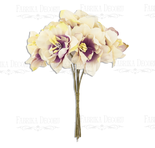  Bouquet of clematis beige with purple, 6pcs