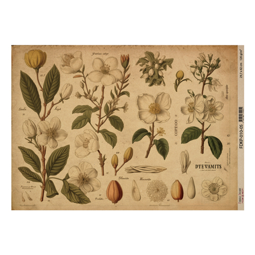 Arkusz kraft papieru z wzorem "Botany spring", #5, 42x29,7 cm - Fabrika Decoru