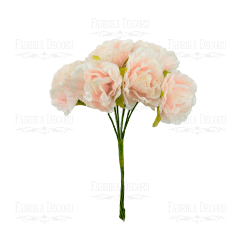 Eustoma Blume, Farbe Pfirsich, 6St - Fabrika Decoru