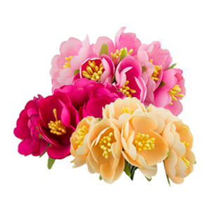 цветы жасмина