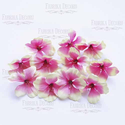 Kwiaty hortensji, Beżowy z różowym, 1szt  - Fabrika Decoru