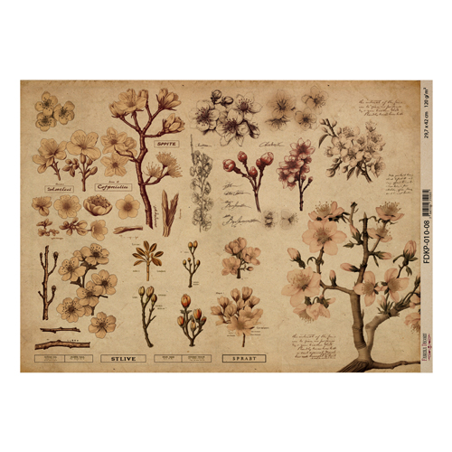 Arkusz kraft papieru z wzorem "Botany spring", #8, 42x29,7 cm - Fabrika Decoru