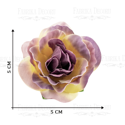 Rosenblüten, Farbe Violett mit Gelb, 1 Stk - foto 1  - Fabrika Decoru