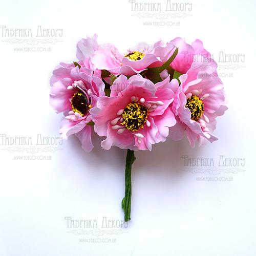 Set of poppies pink, 6 pcs