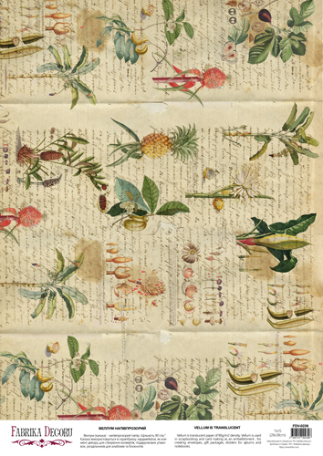 Arkusz kalki z nadrukiem, Deco Vellum, format A3 (11,7" х 16,5"), "Botany summer Tropics" - Fabrika Decoru
