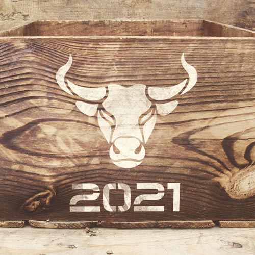 Stencil for crafts 15x20cm "Symbol of the year 2021" #334 - foto 1