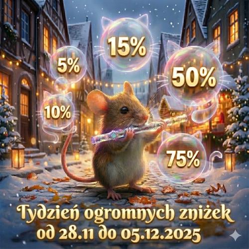 Black friday wyprzedaż 2025