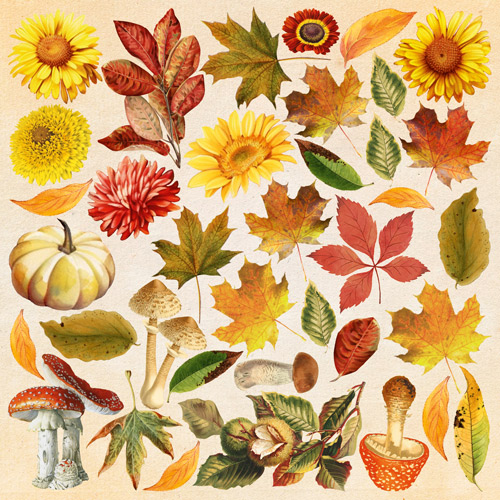 Double-sided scrapbooking paper set Bright Autumn 8"x8" 10 sheets - foto 11