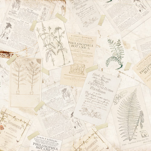 Blatt doppelseitiges Papier für Scrapbooking Botany autumn #61-01 12"x12" - foto 0  - Fabrika Decoru