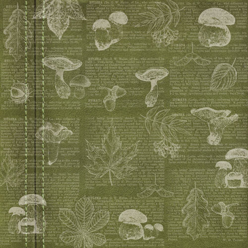 Doppelseitig Scrapbooking Papiere Satz Botanisches Herbsttagebuch, 30.5 cm x 30.5cm, 10 Blätter - foto 2  - Fabrika Decoru