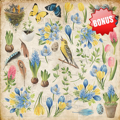 Doppelseitiges Scrapbooking-Papierset Botany Spring, 20 cm x 20 cm, 10 Blätter - foto 10  - Fabrika Decoru