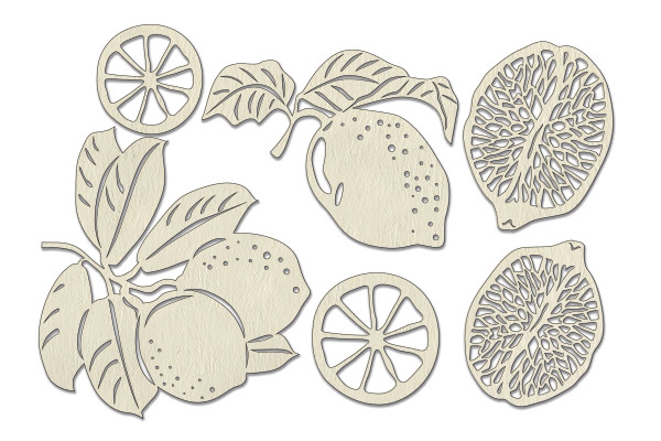 Chipboard embellishments set, Botany exotic #715