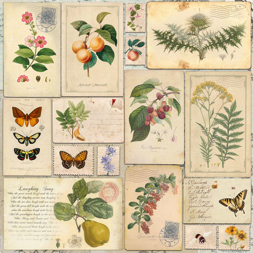 Doppelseitiges Scrapbooking-Papier-Set Summer Botanical Diary, 20 cm x 20 cm, 10 Blätter - foto 9  - Fabrika Decoru