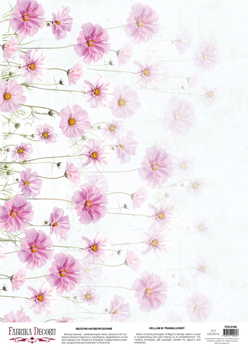 Deco vellum colored sheet Cosmea, A3 (11,7" х 16,5")