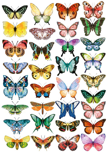 Overlay "Colorful butterflies" 21х29,7 сm