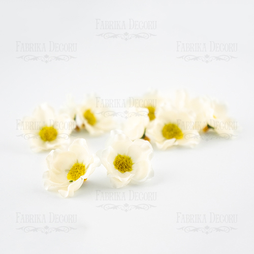цветы шиповника айвори, 1шт