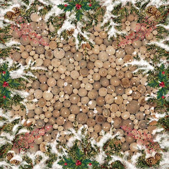 Набор скрапбумаги Botany winter 30,5x30,5 см, 10 листов - Фото 11