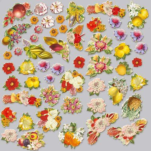 Set of die cuts Botany exotic fruits, 54 pcs - foto 1