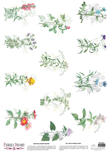 Arkusz kalki z nadrukiem, Deco Vellum, format A3 (11,7" х 16,5"), "Wildflowers 1" - Fabrika Decoru