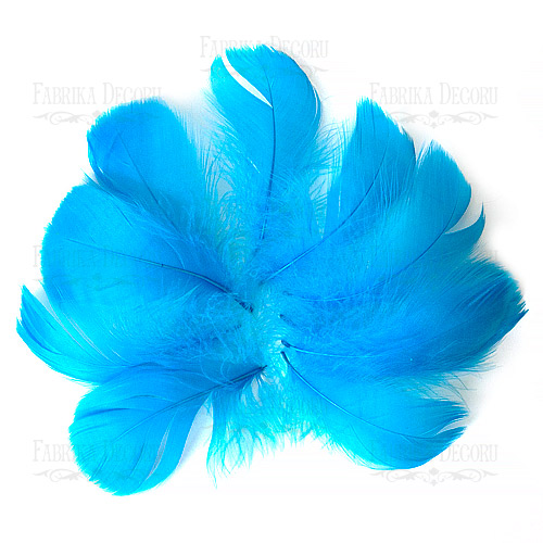 Feathers set maxi "Bright blue"