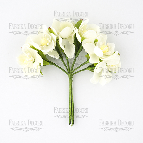 Set of large peach flowers ivory, 6 pcs