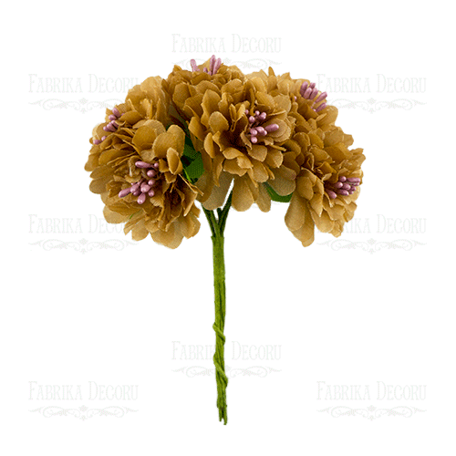 Set of flowers of the apple tree sepia, 6 pcs