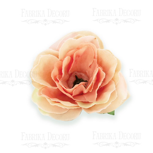 Rose flowers, color Peach with yellow, 1pcs - foto 0