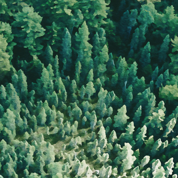 Набор двусторонней скрапбумаги Forest life 20x20 см 10 листов - Фото 7