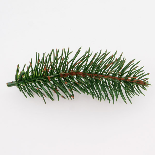Set aus künstlichen Weihnachtsbaumzweigen, grün, 15 Stück - foto 6  - Fabrika Decoru