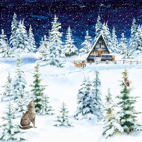 Zestaw papieru do scrapbookingu Country winter, 30,5 cm x 30,5 cm - foto 4  - Fabrika Decoru