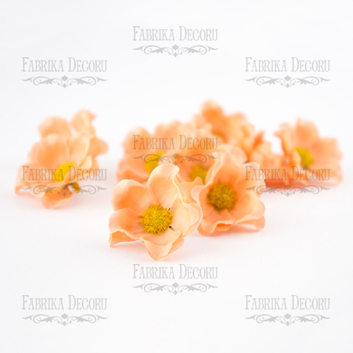 Kwiaty dzikiej róży "Brzoskwinia", 1szt - Fabrika Decoru