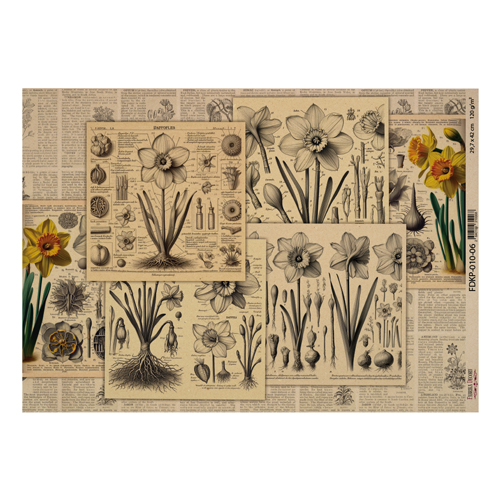 Kraftpapierbogen "Botany spring" #6, 42x29,7 cm - Fabrika Decoru