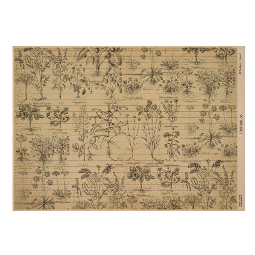 Набір одностороннього крафт-паперу для скрапбукінгу Botanical backgrounds 42x29,7 см, 10 аркушів  - фото 5