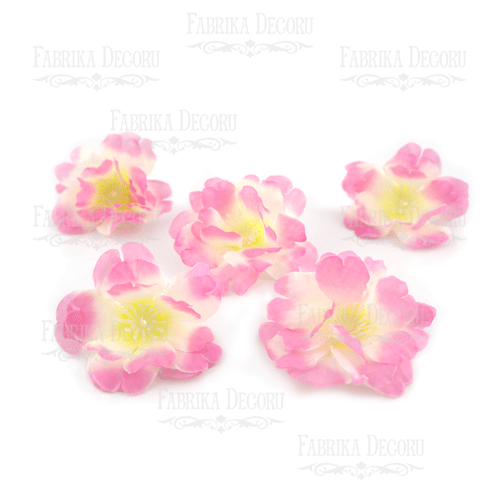 Sakura kwiat biały z różowym, 1 szt - Fabrika Decoru