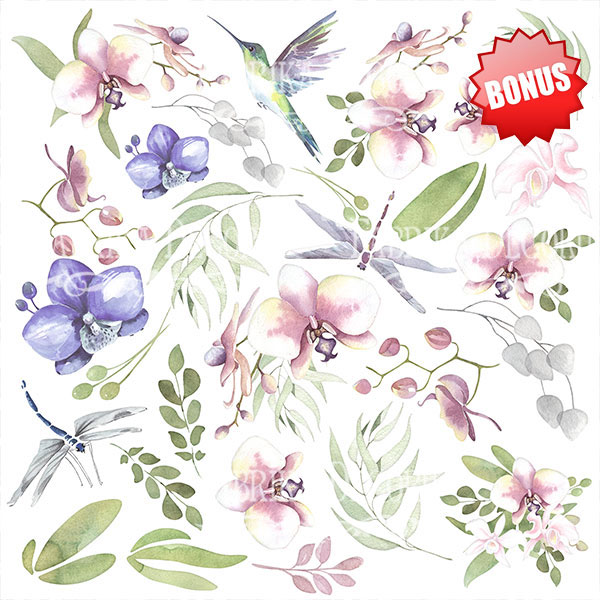 Zestaw papieru do scrapbookingu "Dzika orchidea", 20cm x 20cm  - foto 10  - Fabrika Decoru