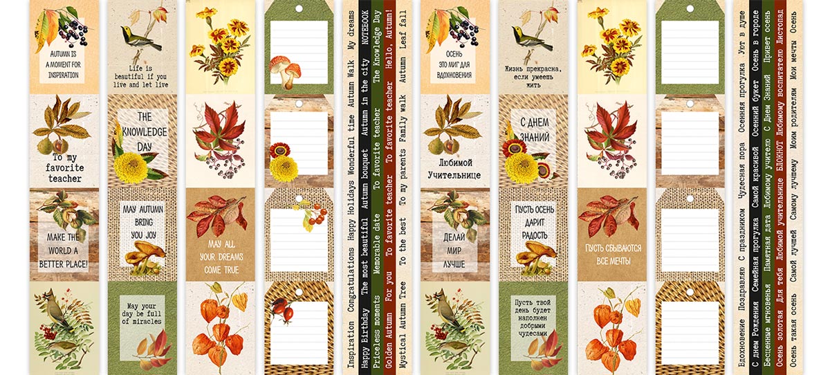 Set of stripes with pictures for decoration Autumn botanical diary
