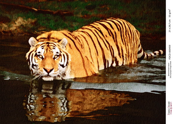 Decoupage-Karte Tiger, Aquarell #0459, 21x30cm - Fabrika Decoru