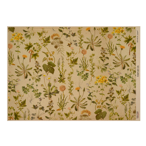 Arkusz kraft papieru z wzorem Botanical backgrounds #05, 42x29,7 cm - Fabrika Decoru