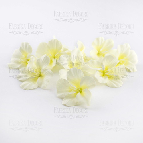 Kwiaty hortensji. Biały z żółtym środkiem. 1szt  - Fabrika Decoru