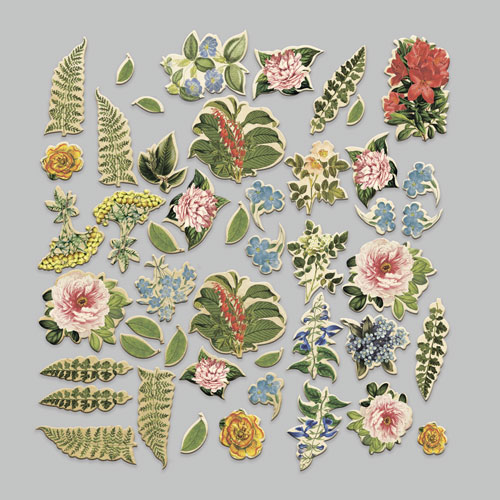 Набір висічок, колекція Summer botanical story, 58 шт - фото 1