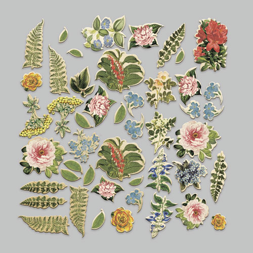 Set of die cuts Summer botanical story, 58 pcs - foto 1